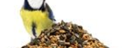 Birds & Animal Food