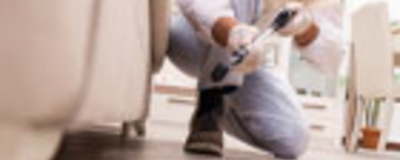 Pest Control Services