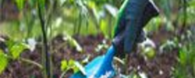 Fertilizer & Soil