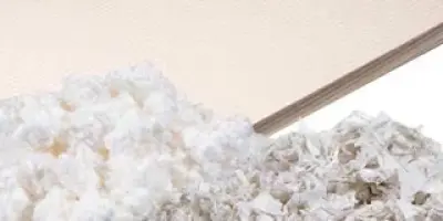 Paper & Paper Pulp