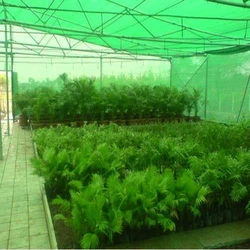 Buy Online Premium Plant Nursery Shade Net, Farm Shade Net