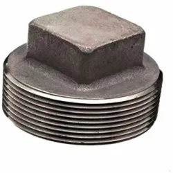 Ss Hex Head Plug, Material Stainless Steel