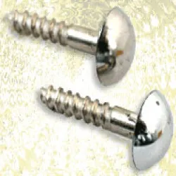 SS Slotted Head Screw, Finish Polished