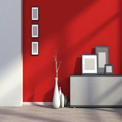 Interior Emulsion Paint