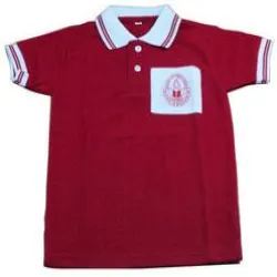 Plain Polo T Shirt, Color Grey