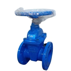 Cast Iron Sluice Valve
