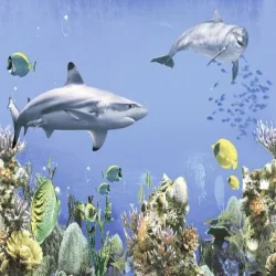 Wall Tiles Digital, Finish Gloss