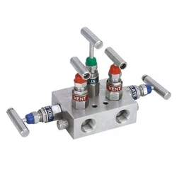 Ss Manifold Valve