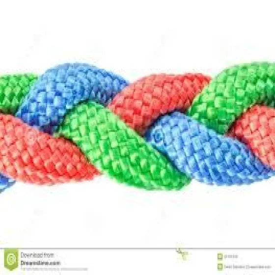16164173-0-T08qETuZ.webp