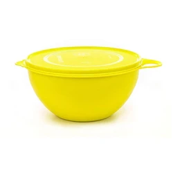Bowl Plastic Container