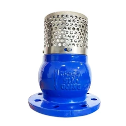 Cast Iron Foot Valve