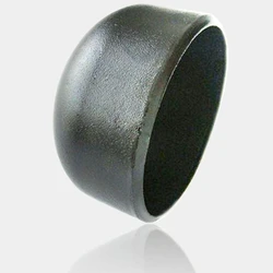 Alloy Steel End Cap