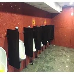 Custom Made Urine Partition, Glass Thickness 10-30mm