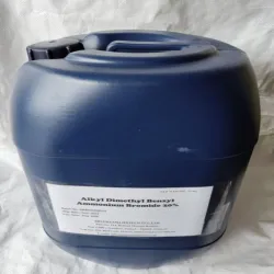 Schuelke Plus Gigasept TM GTA Surface Disinfectant, Packaging Type cane