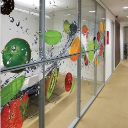 Decorative Glass For Main Entrance, Size 7x3x4