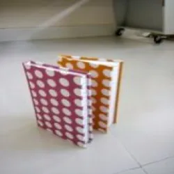 Paper Diary, Color Green