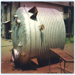 Limpet Coil Reactor, Material Stainless Steel