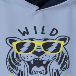 Men Hoodies, Brand Flying Falcon