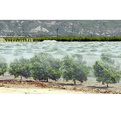 Anti Bird Net, UsageApplication HomeFactoryIndustryofficeFarm House