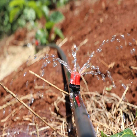 drip-pipe-button-1.webp