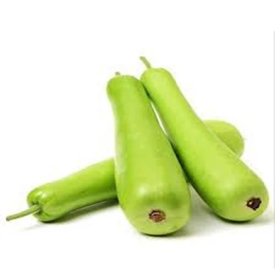 bottle-gourd-variety.webp