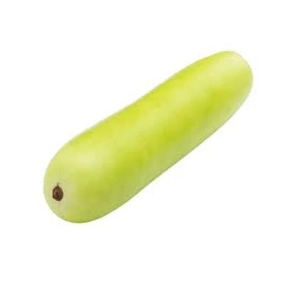 bottle-gourd.webp