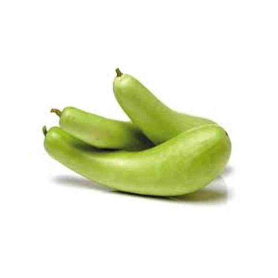 vegetables-bottle-gourd.webp