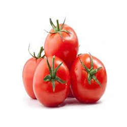 Premium Quality Nutritional Fresh Garden Tomatoes Uses