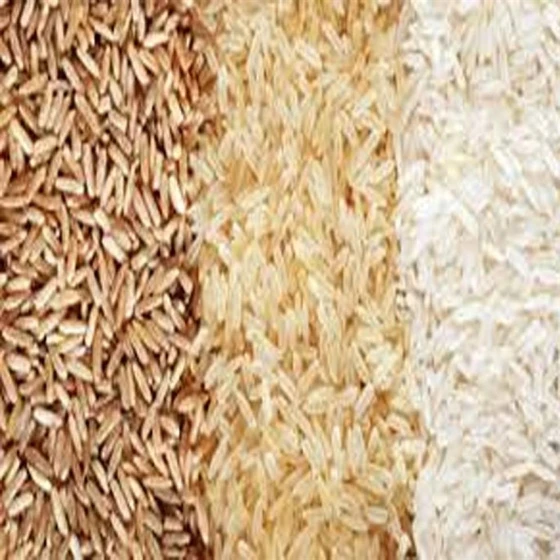 types-of-rice.webp