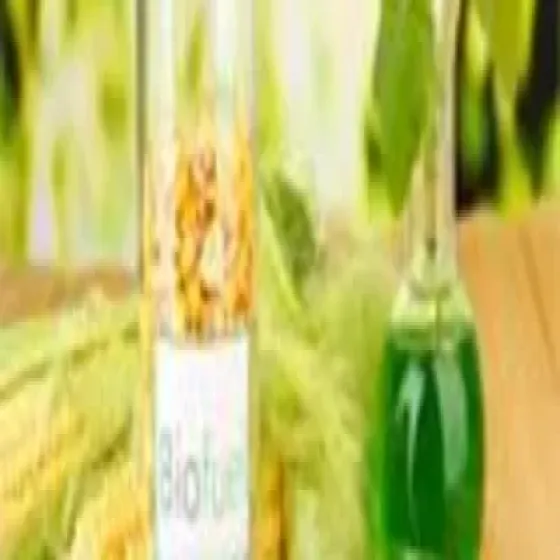 manufacturers-biofuel-RmGOgUR6.webp