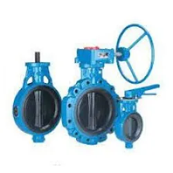 Control Valve, Pressure 10kg