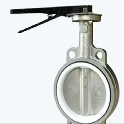 PTFE Lined Valves, Lining Material PTFE