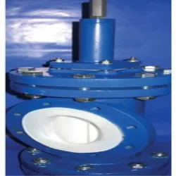 PTFE Lined Valves, Brand RPi