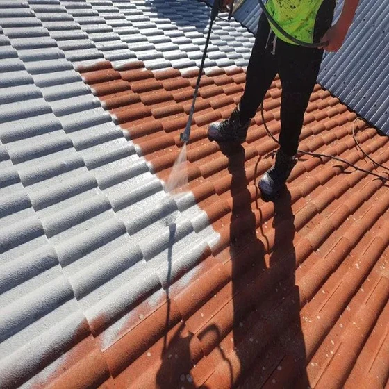 painting-roof-tiles-1.webp