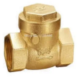 GM Vert Non Return Valve PN16, UsageApplication Water