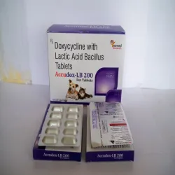 100 Mg Capsuls, Usages ANTIBIOTICS