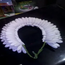 Crespedia Dry Flowers, Appearance Natural Look