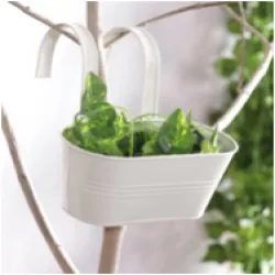 Plant Pots And Garden Planters, Size H-4 cm, W-9 cm