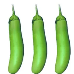 Brinjal Seed, Color Brown
