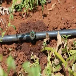 Drip Line, Shape Of Dripline Cylindrical