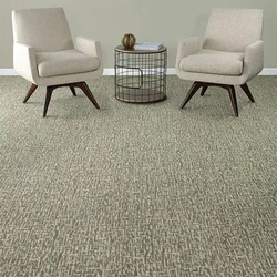 Loop Pile Carpet Flooring, Plain & graphic patterns