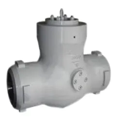 Stainless Steel Swing Type Check Valve ASA 150 Class Flange Type, Surface Finish Glossy