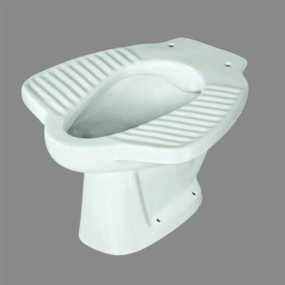 anglo-indian-toilet-1.webp
