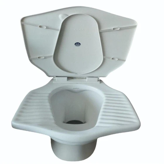 anglo-indian-toilet-2.webp