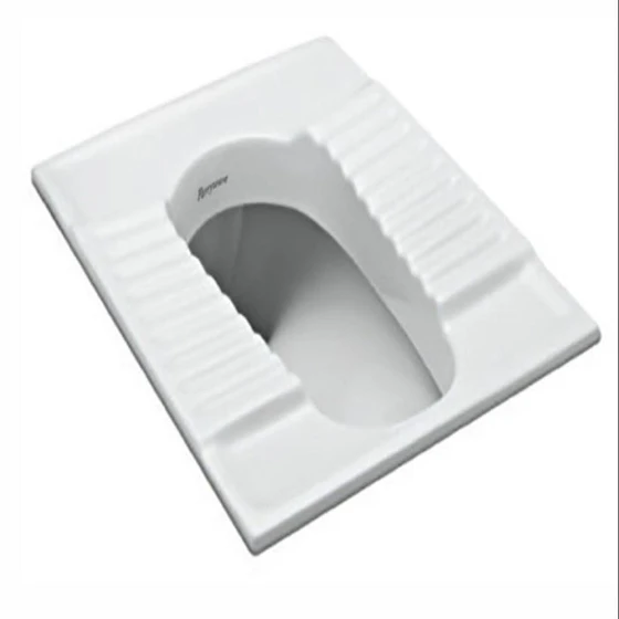 parryware-indian-toilet-seat-2.webp