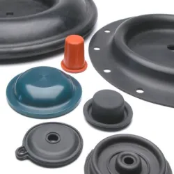 Natural Seals, Packaging Type Carton