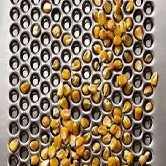 dnt-trieur-perforation.webp