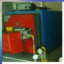 Hot Water Boiler, Gas Fired, Capacity 5 TPH