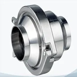 Swing Check Valve, Material SS