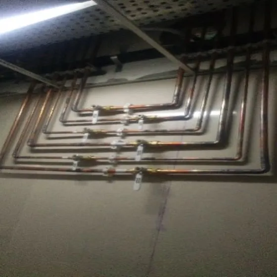 14957421-0-otKJU85Y.webp